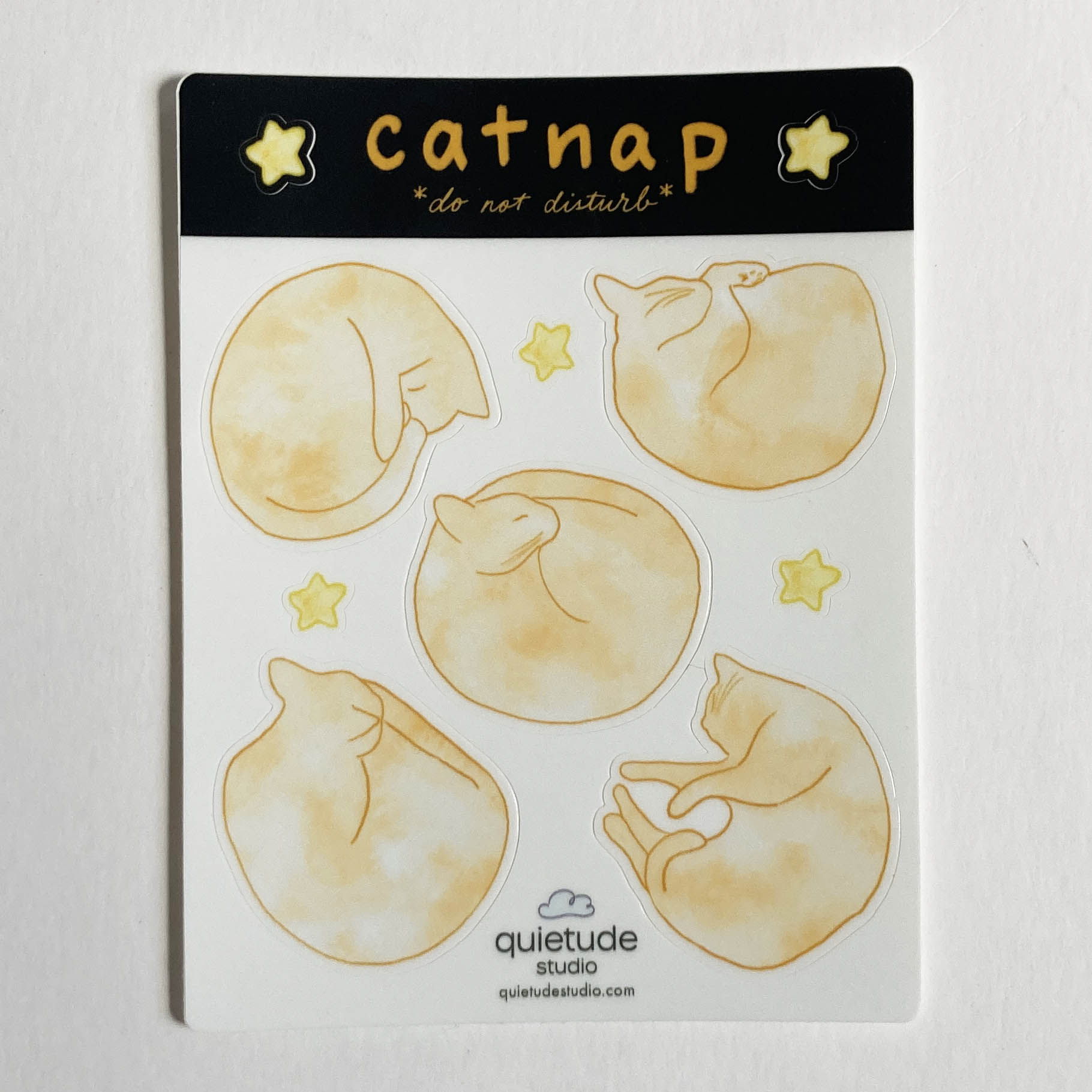 Orange Cat Stickers