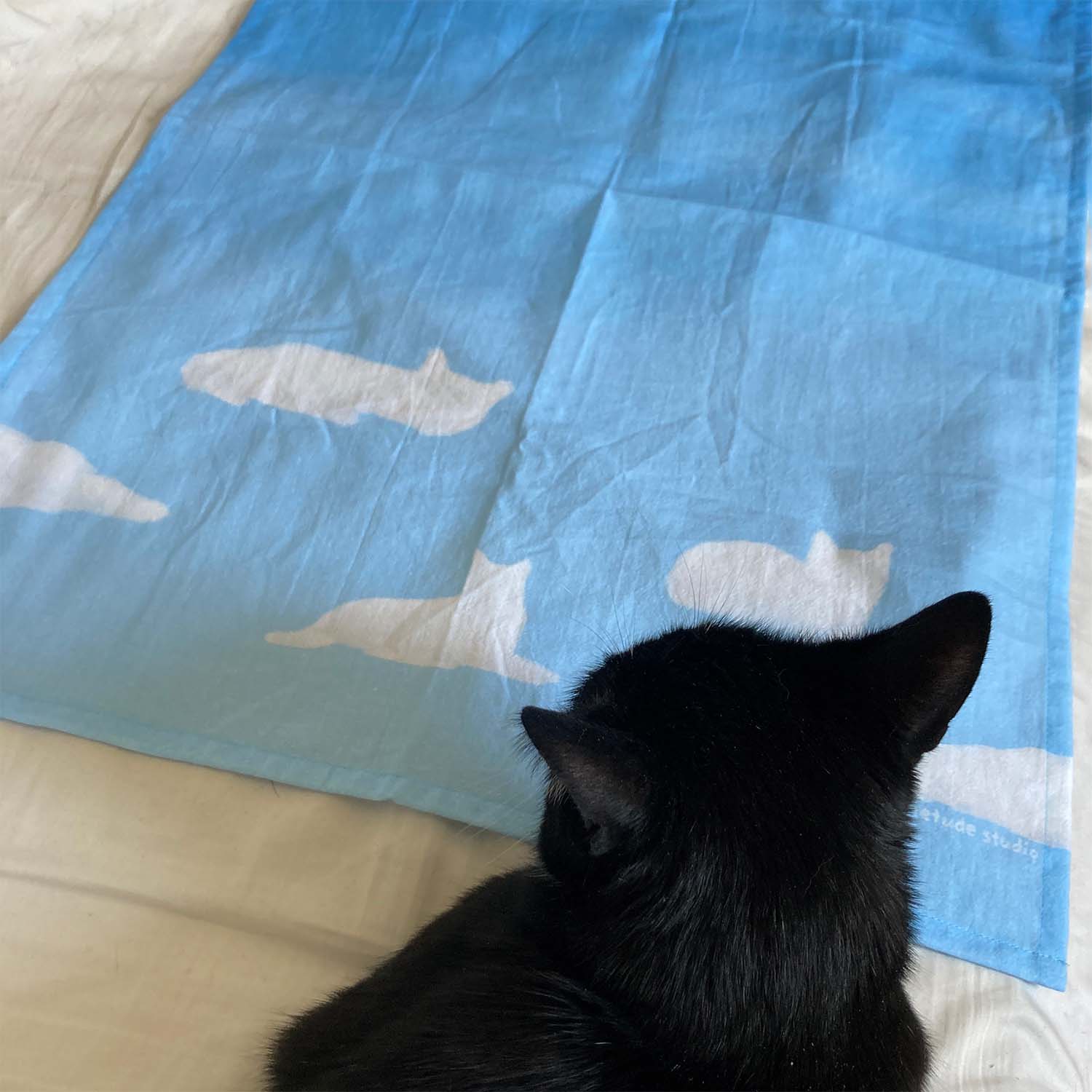 Peaceful Sky with Cat Clouds